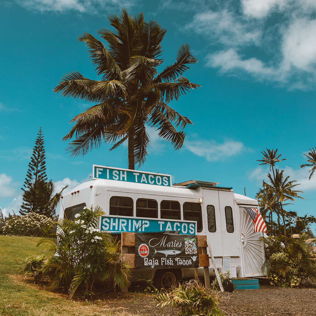 fish taco truck parked under a palm tree